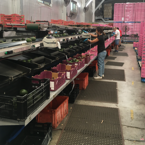 Packing Line